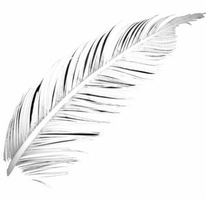 Meet your Posher, Zana